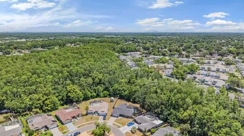 4218 Summerdale Drive Tampa FL 33624