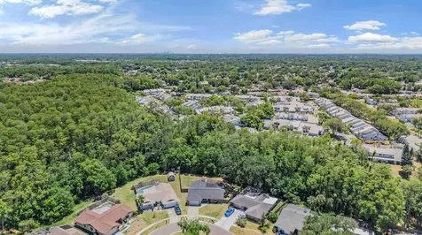 4218 Summerdale Drive Tampa FL 33624