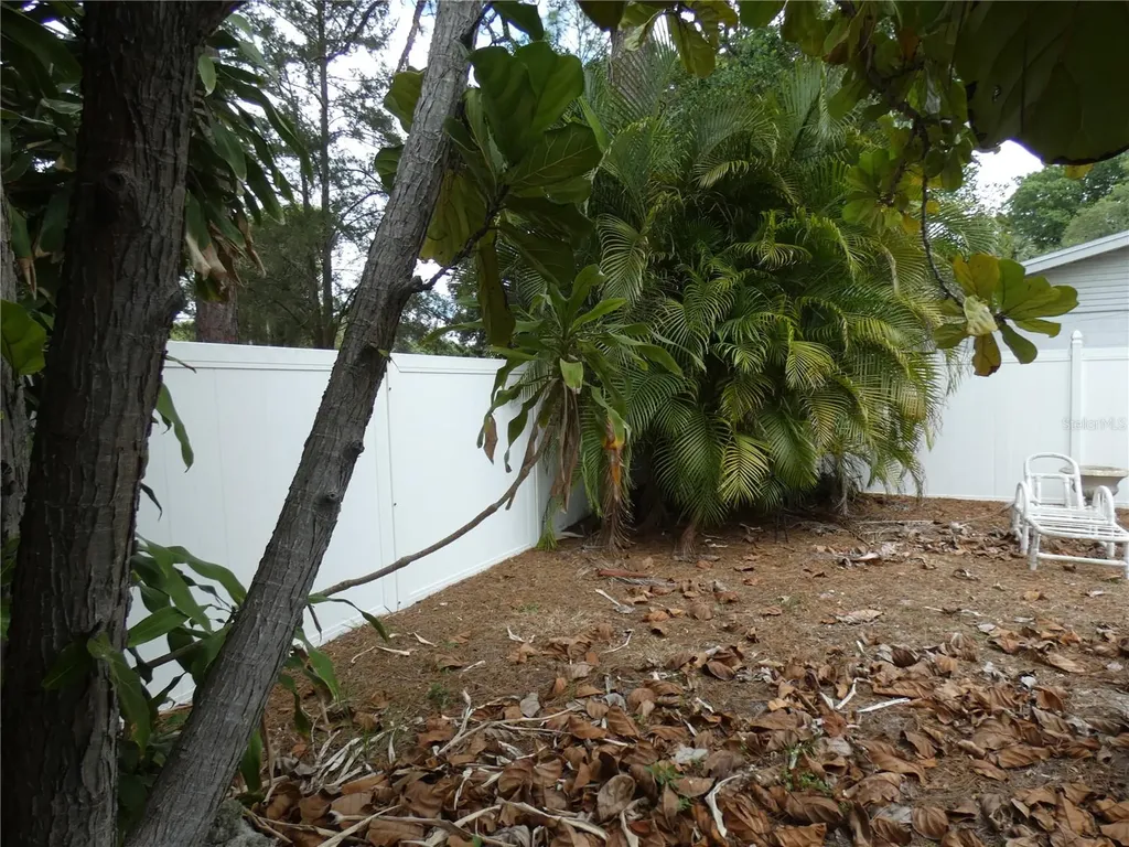 5834 Van Buren Street New Port Richey FL 34653