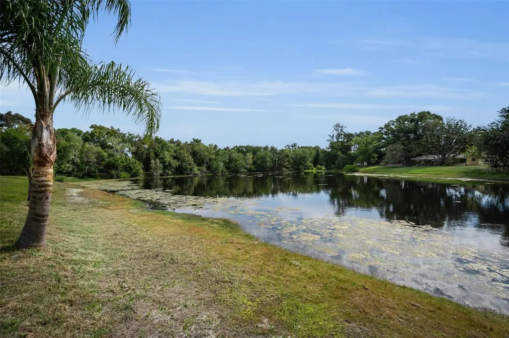 409 Graham Drive Clearwater FL 33765