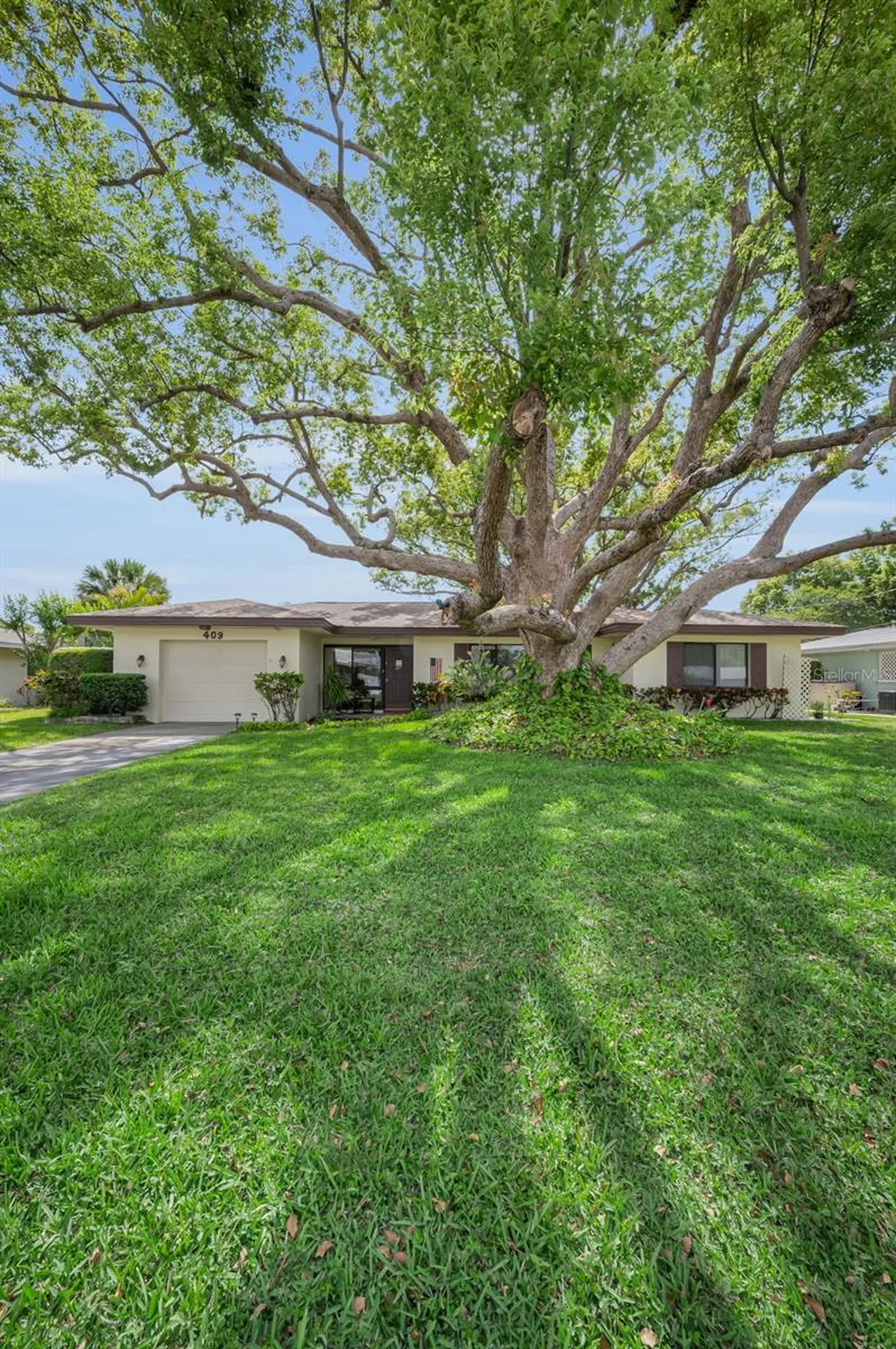 409 Graham Drive Clearwater FL 33765