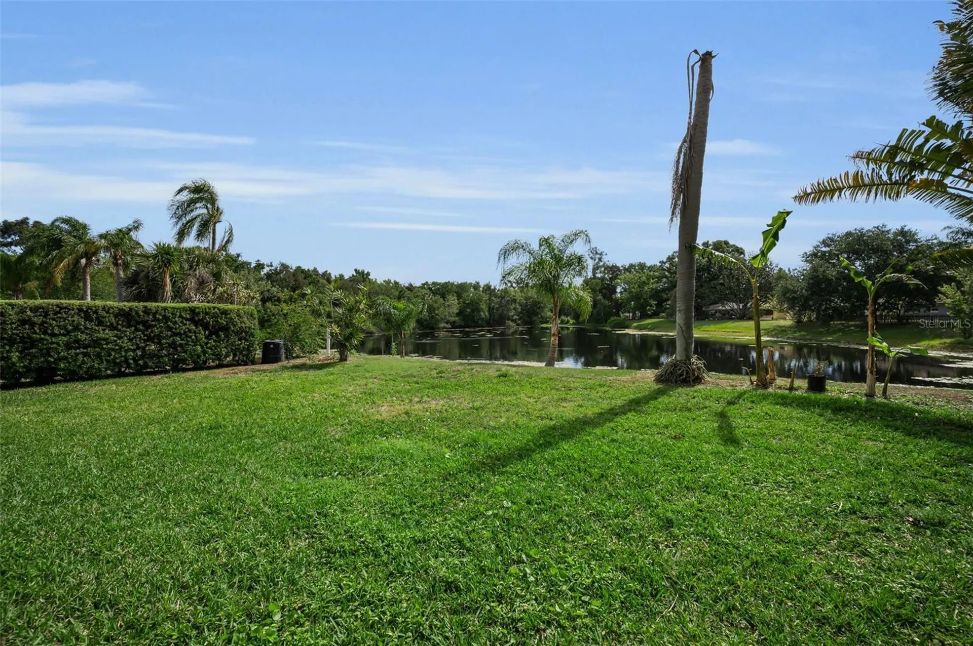 409 Graham Drive Clearwater FL 33765