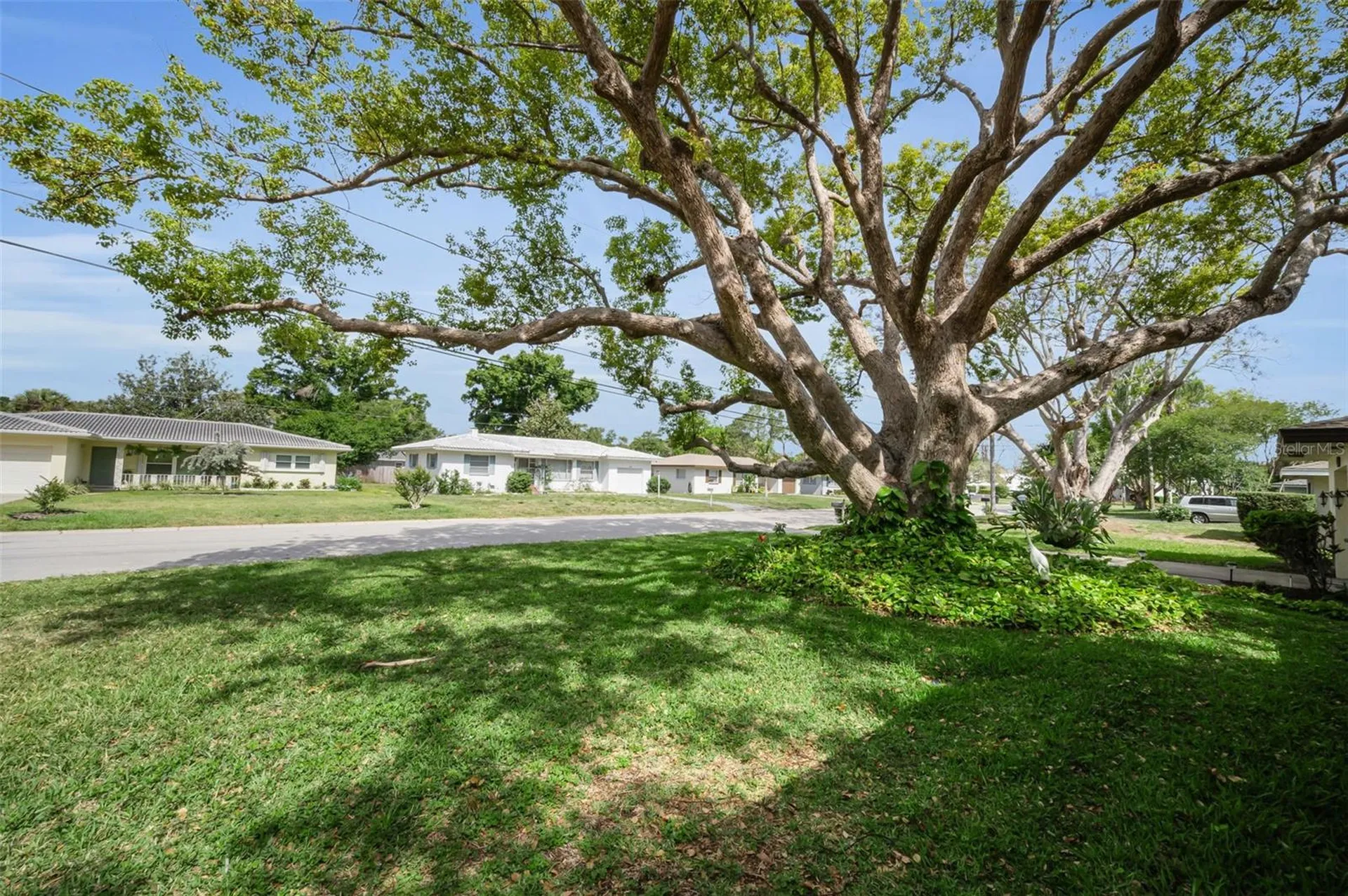 409 Graham Drive Clearwater FL 33765