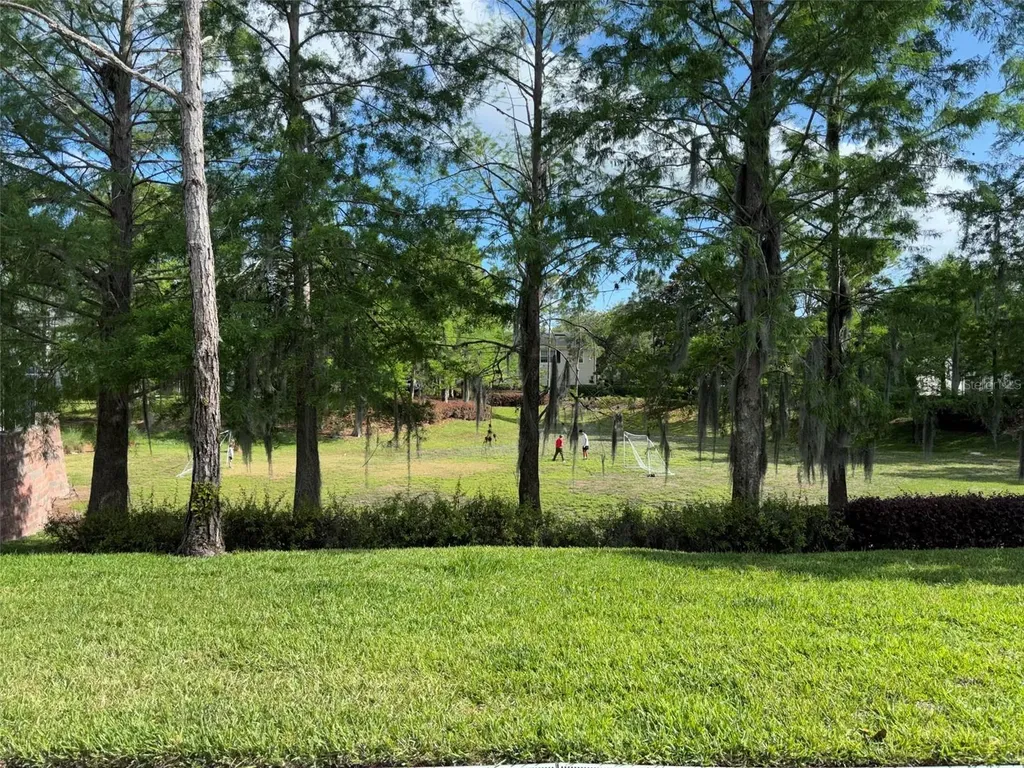 143 Southern Pecan Circle Winter Garden FL 34787
