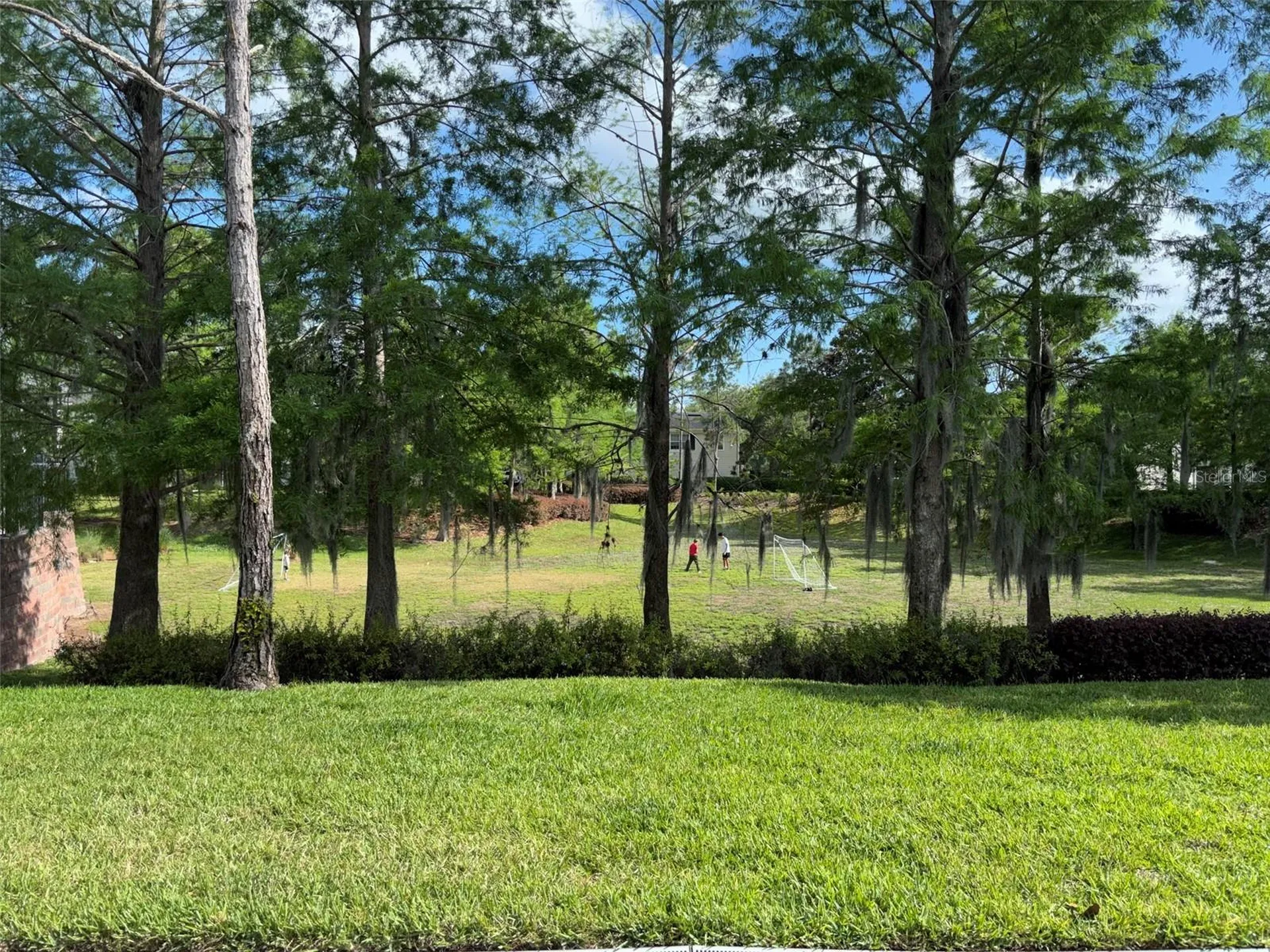 143 Southern Pecan Circle Winter Garden FL 34787