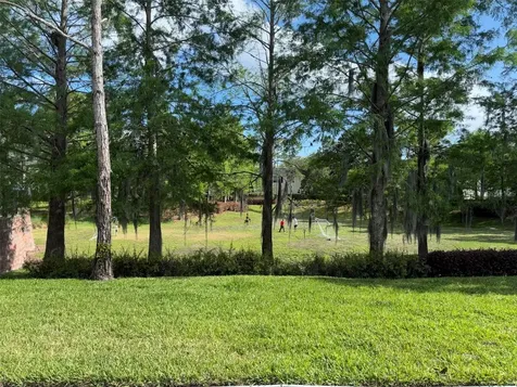 143 Southern Pecan Circle Winter Garden FL 34787