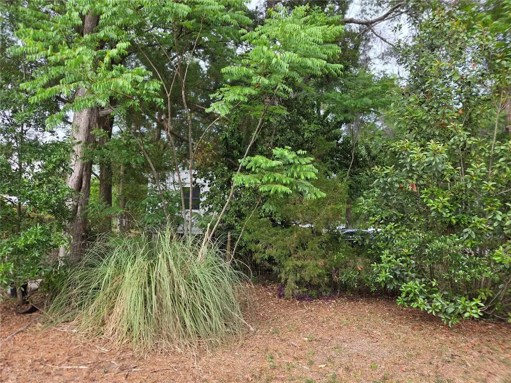 421 Margaret Street Bronson FL 32621