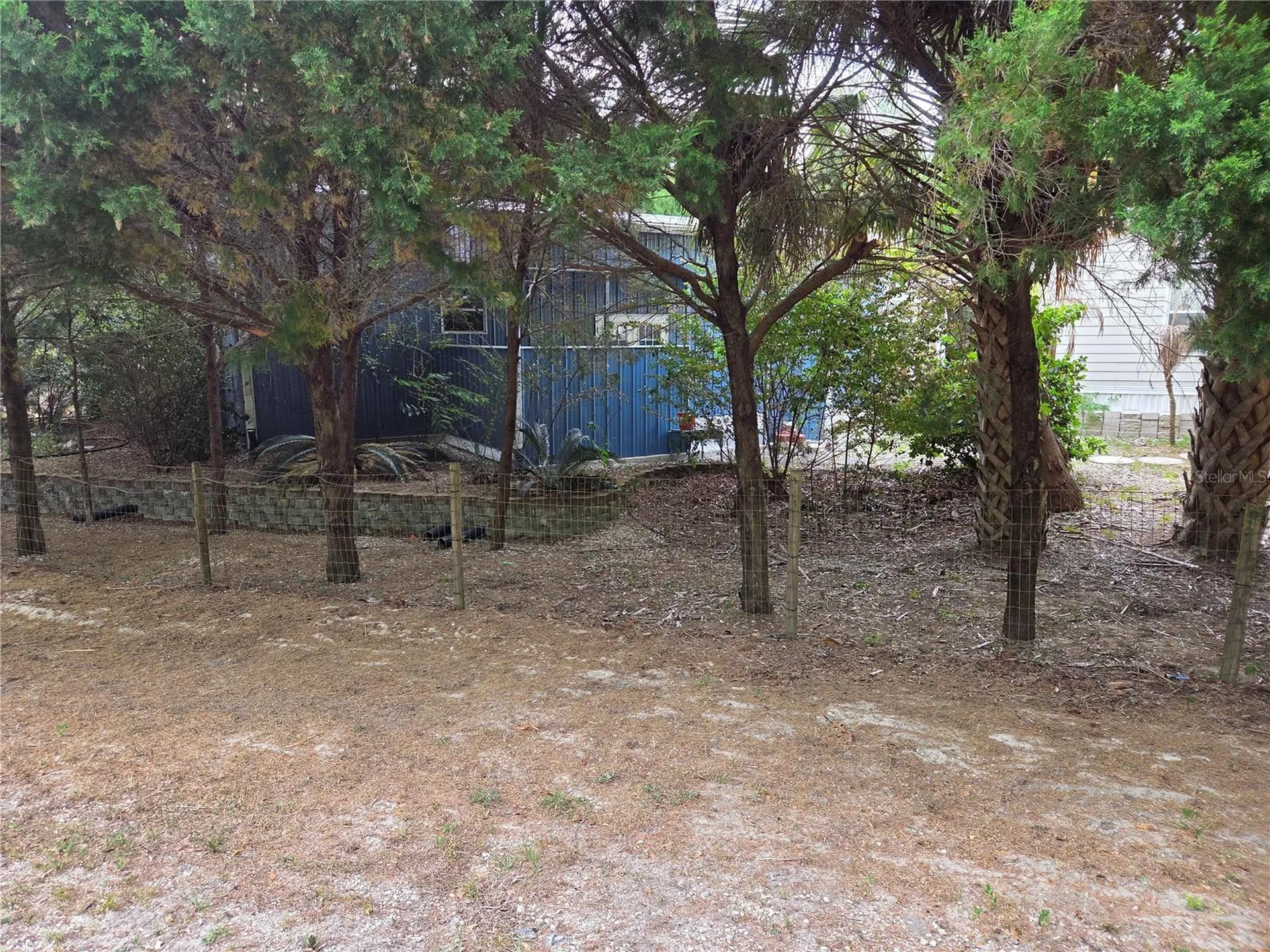 421 Margaret Street Bronson FL 32621