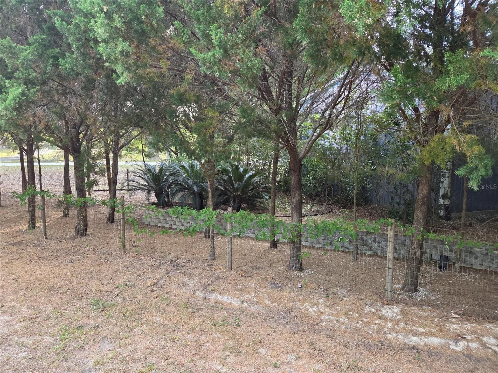 421 Margaret Street Bronson FL 32621