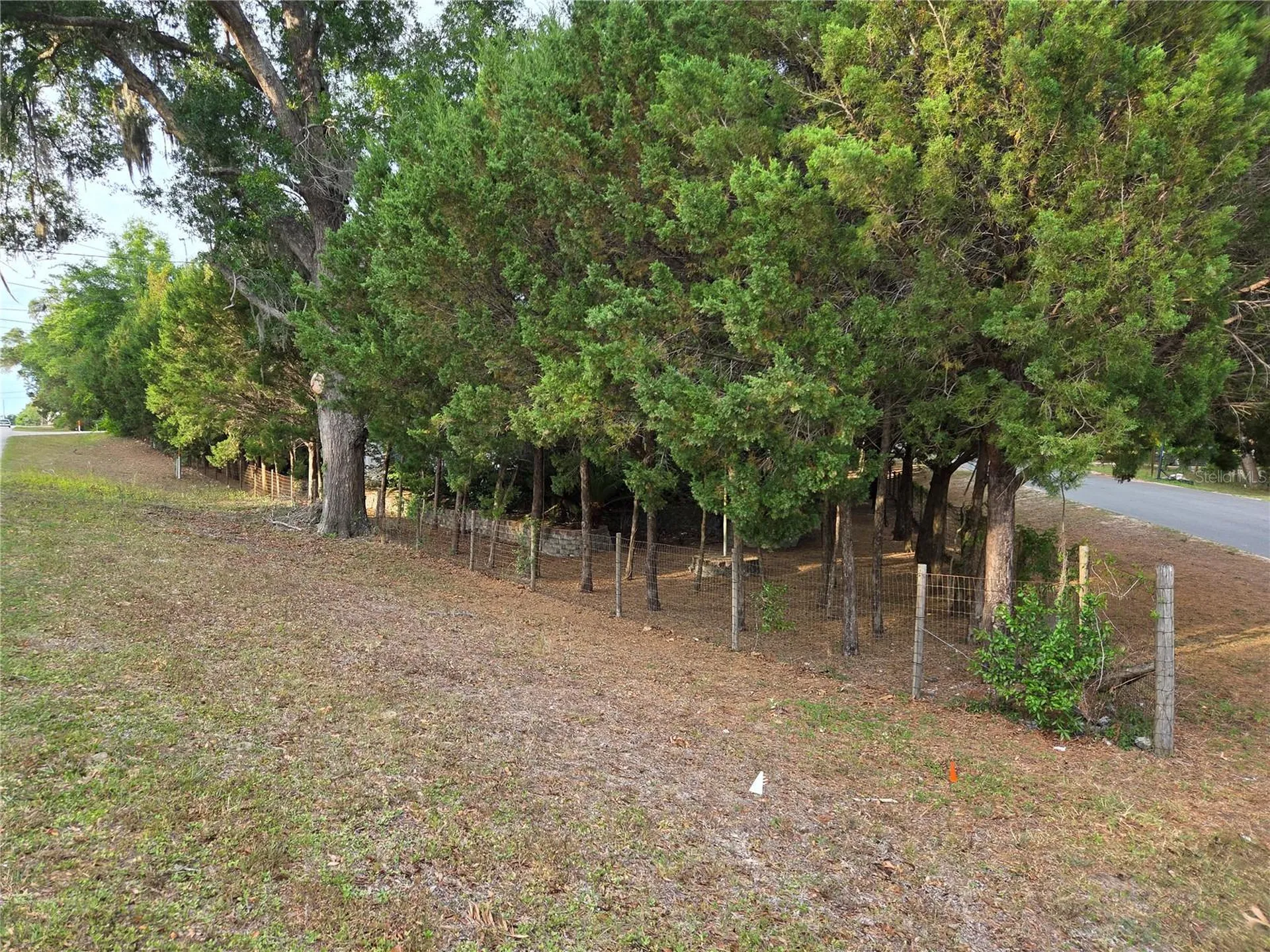 421 Margaret Street Bronson FL 32621
