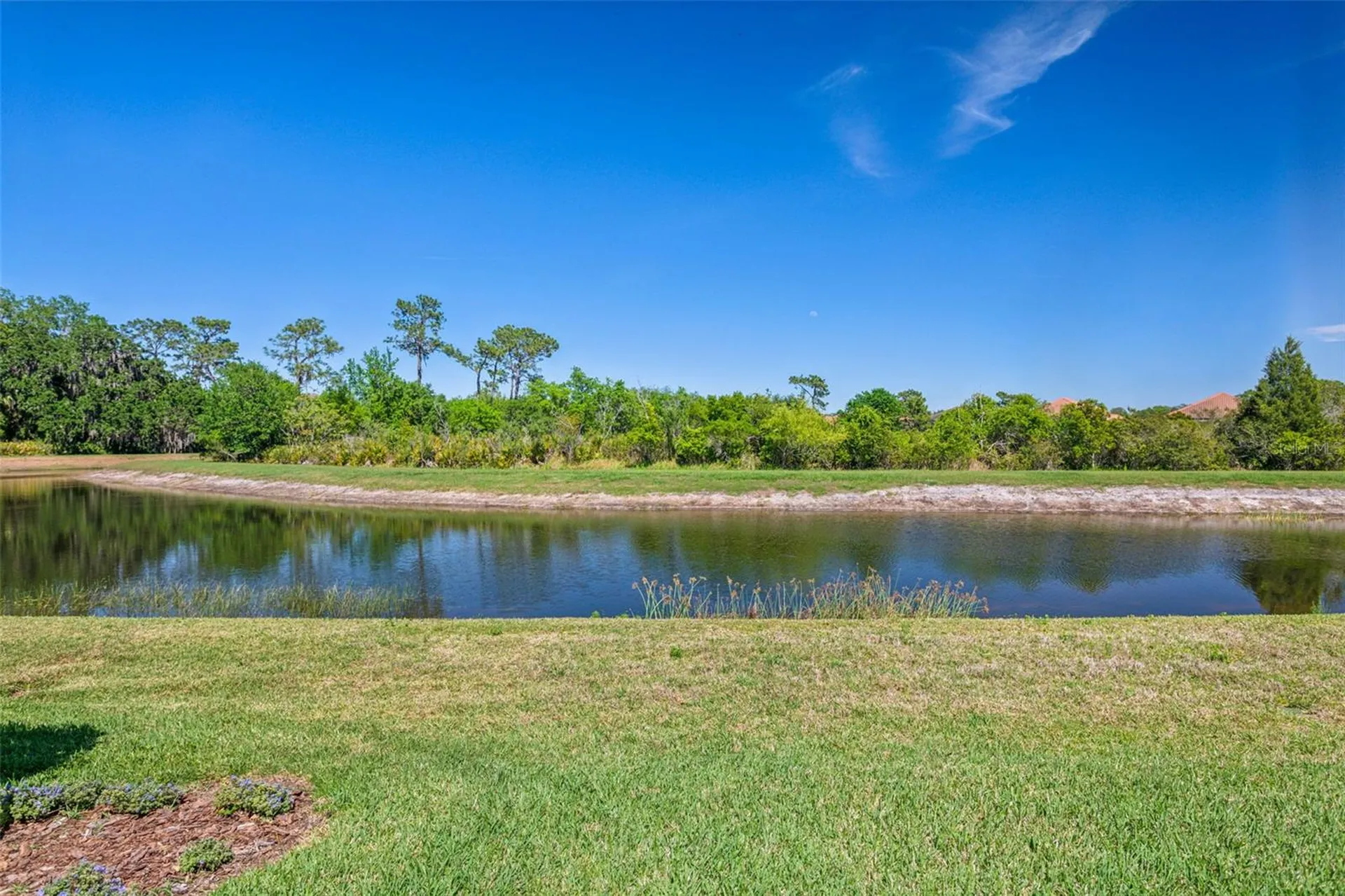 8530 Grand Alberato Road Tampa FL 33647