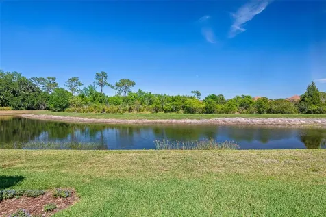 8530 Grand Alberato Road Tampa FL 33647