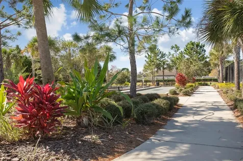 8530 Grand Alberato Road Tampa FL 33647