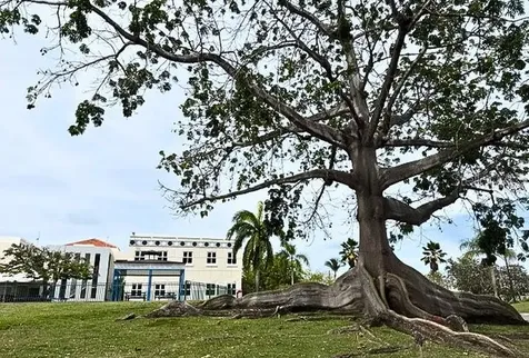 185 Candelero Drive Humacao PR 00791