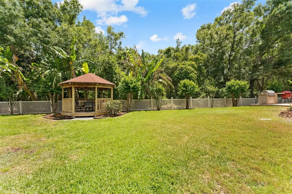 11615 Renaissance View Court Tampa FL 33626