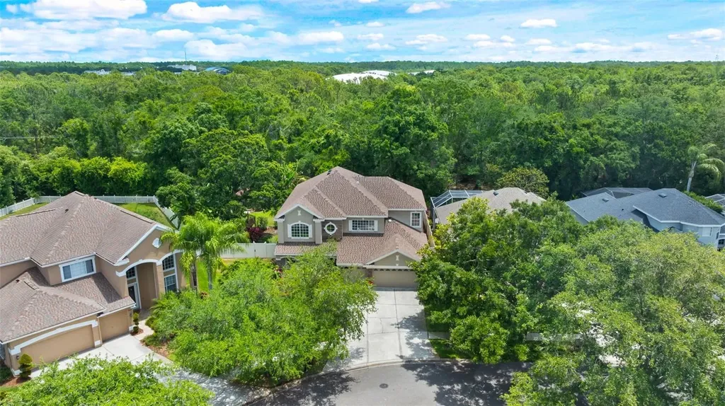 11615 Renaissance View Court Tampa FL 33626