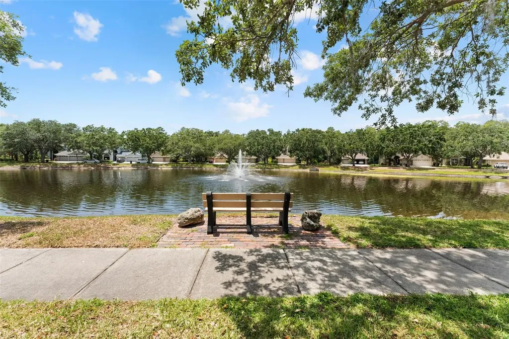 11615 Renaissance View Court Tampa FL 33626