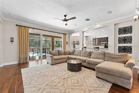 11615 Renaissance View Court Tampa FL 33626
