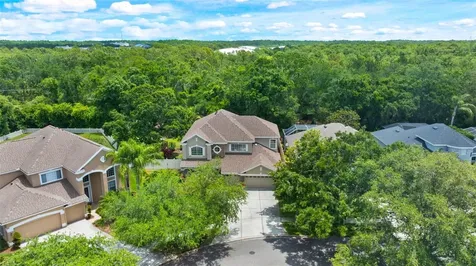 11615 Renaissance View Court Tampa FL 33626