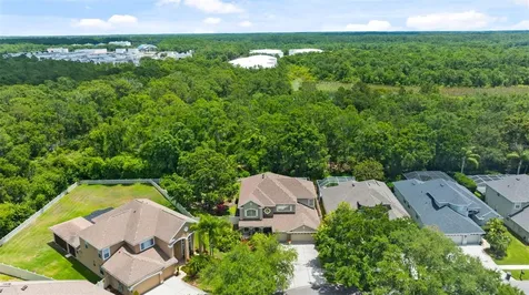 11615 Renaissance View Court Tampa FL 33626