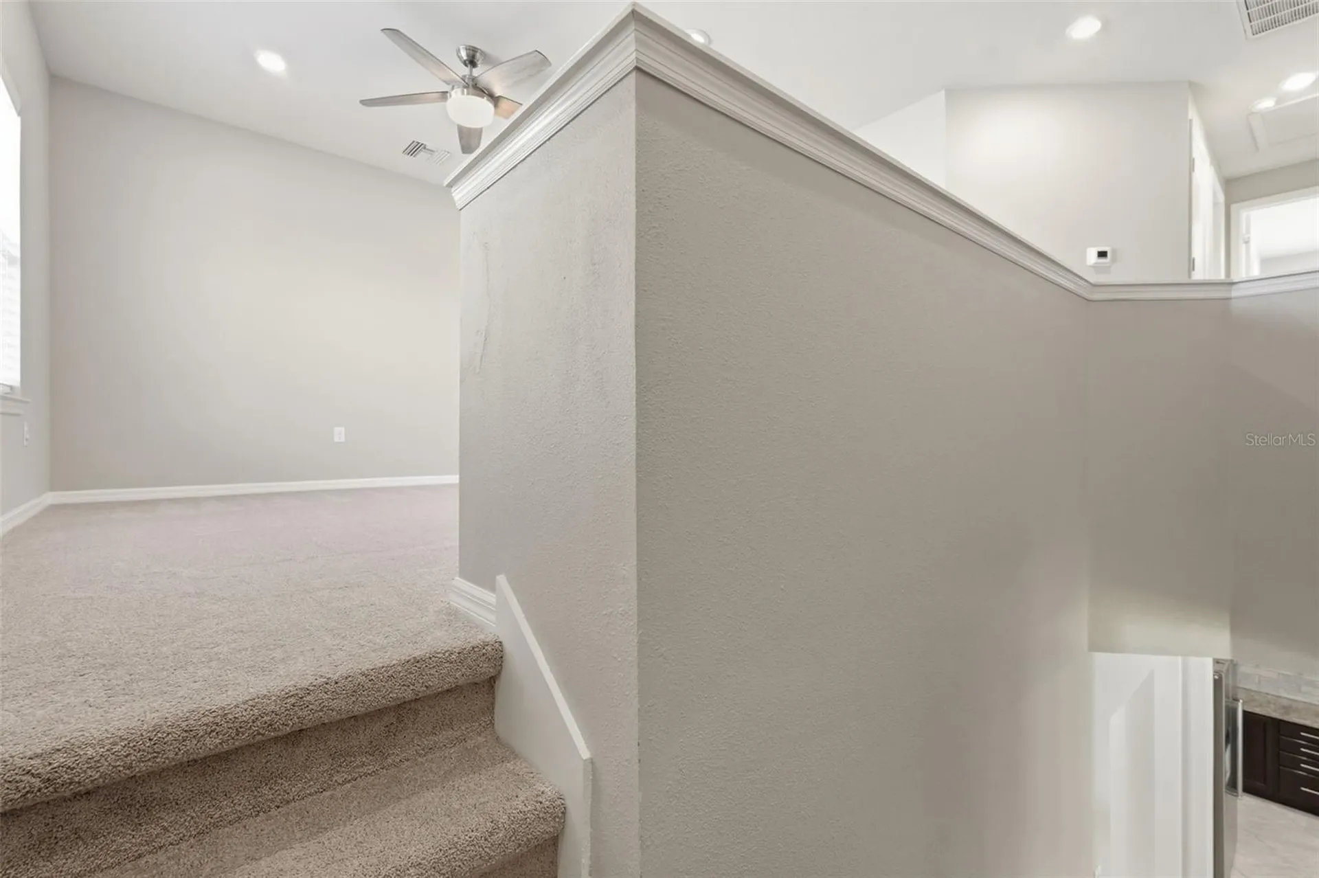 18760 Birchwood Groves Drive Lutz FL 33558