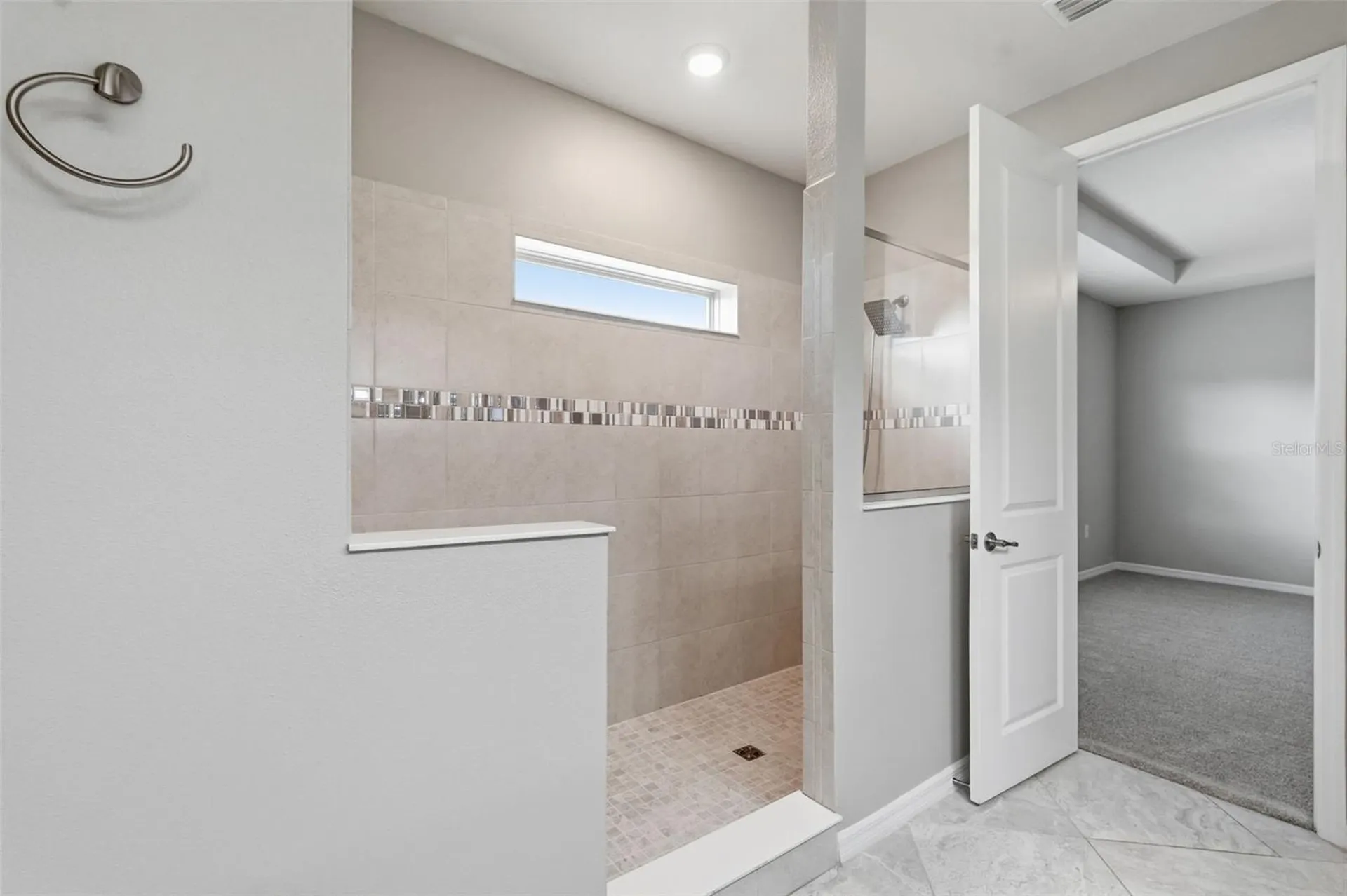18760 Birchwood Groves Drive Lutz FL 33558