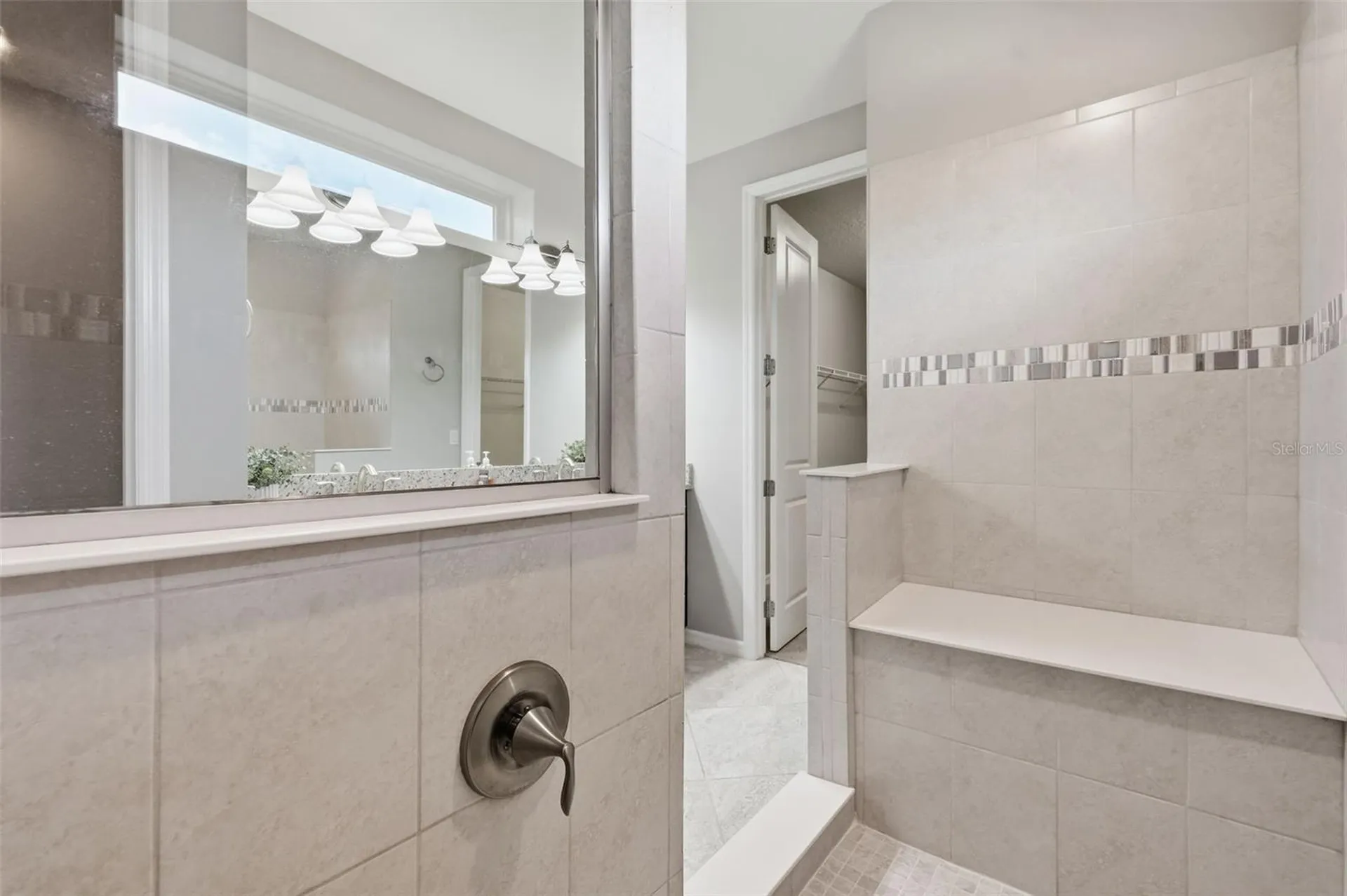 18760 Birchwood Groves Drive Lutz FL 33558
