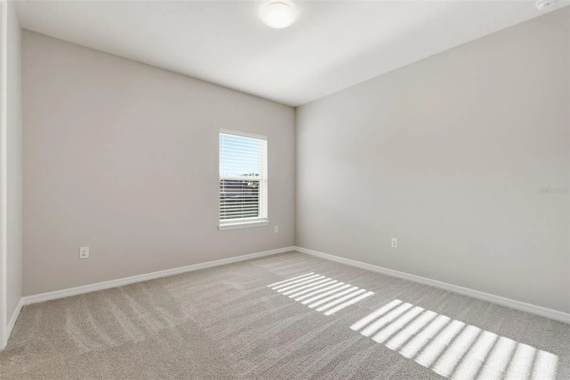 18760 Birchwood Groves Drive Lutz FL 33558