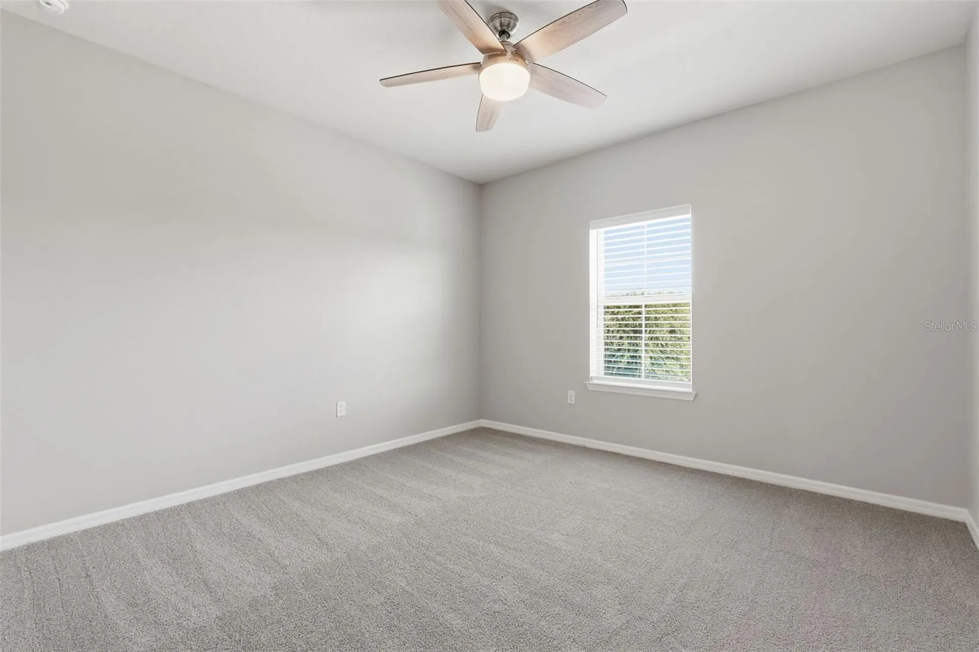18760 Birchwood Groves Drive Lutz FL 33558