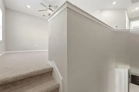 18760 Birchwood Groves Drive Lutz FL 33558