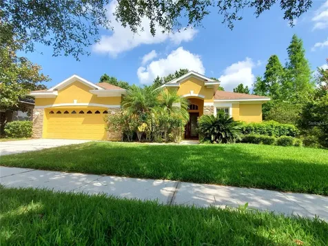 12825 Castlemaine Drive Tampa FL 33626