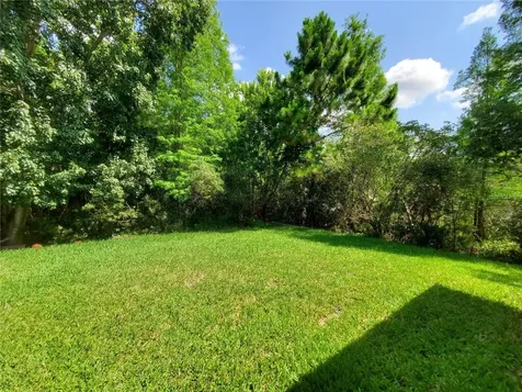12825 Castlemaine Drive Tampa FL 33626