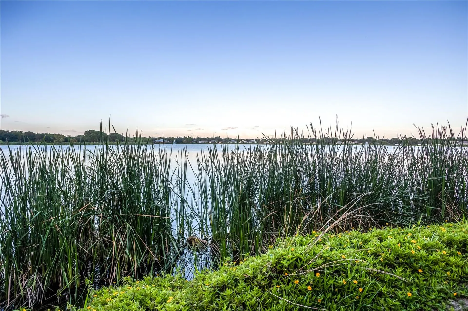 6905 Freeport Road Riverview FL 33578