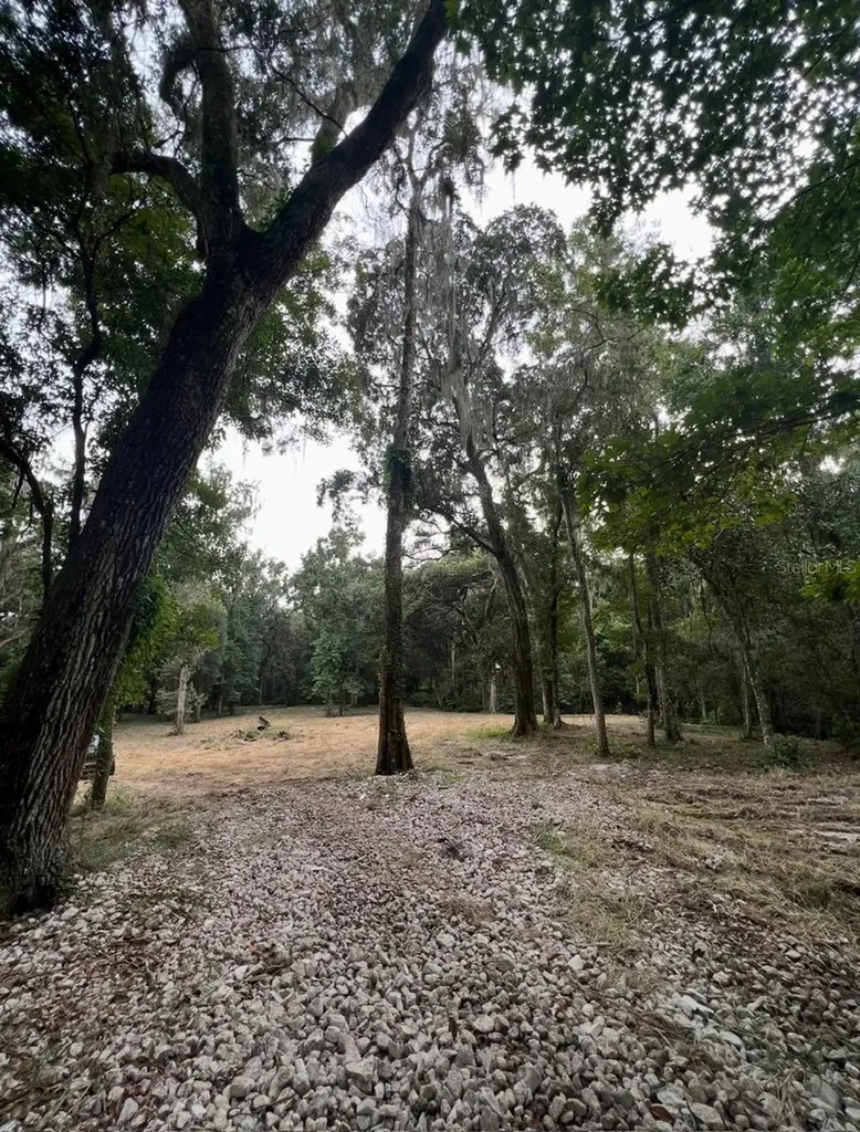 33234 Chipco Ranch Road Dade City FL 33523