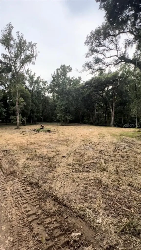 33234 Chipco Ranch Road Dade City FL 33523