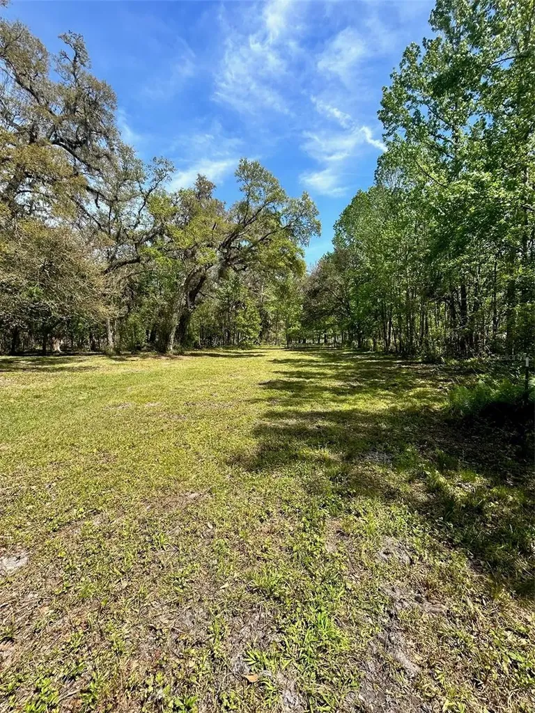 33234 Chipco Ranch Road Dade City FL 33523