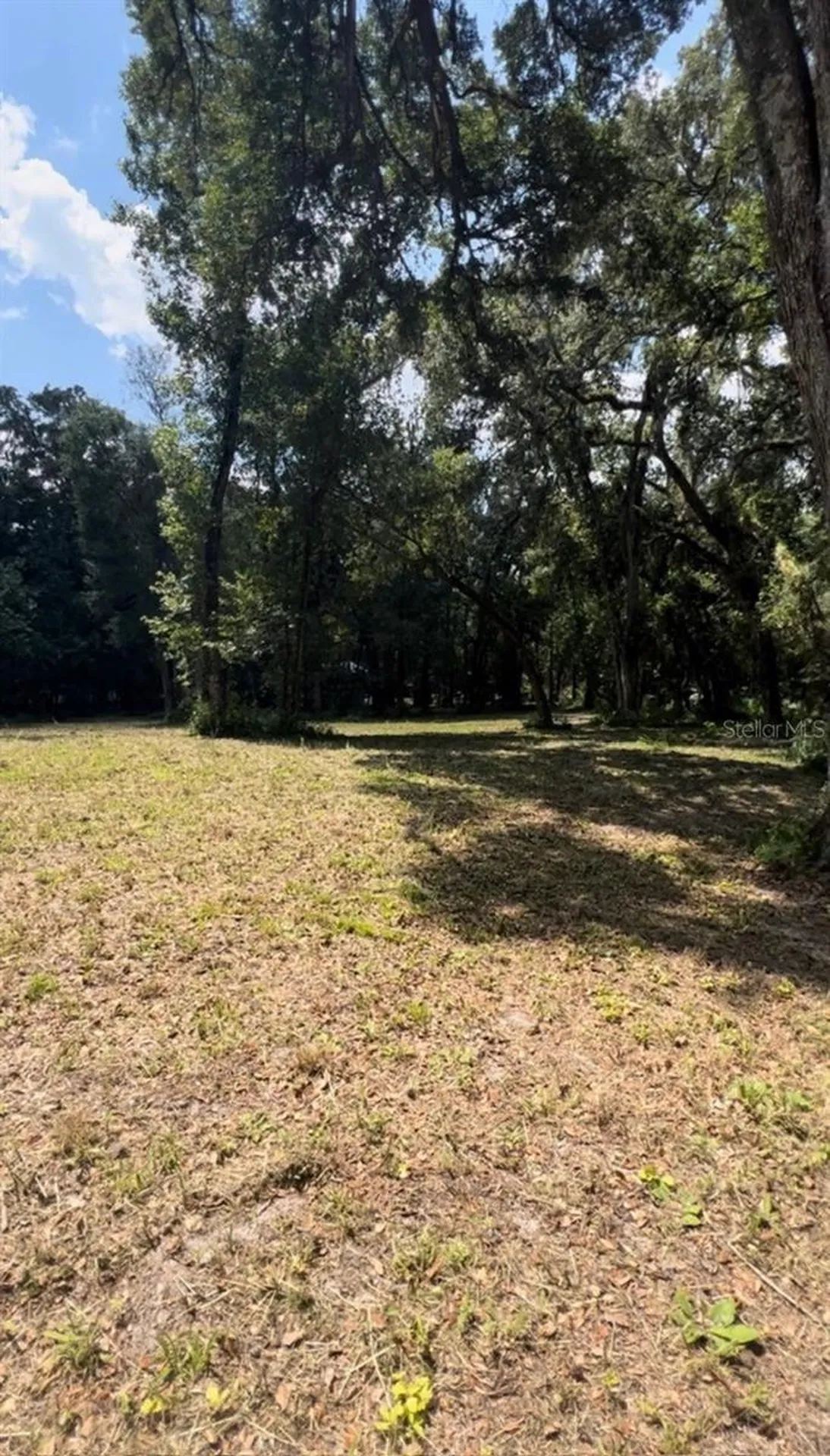 33234 Chipco Ranch Road Dade City FL 33523