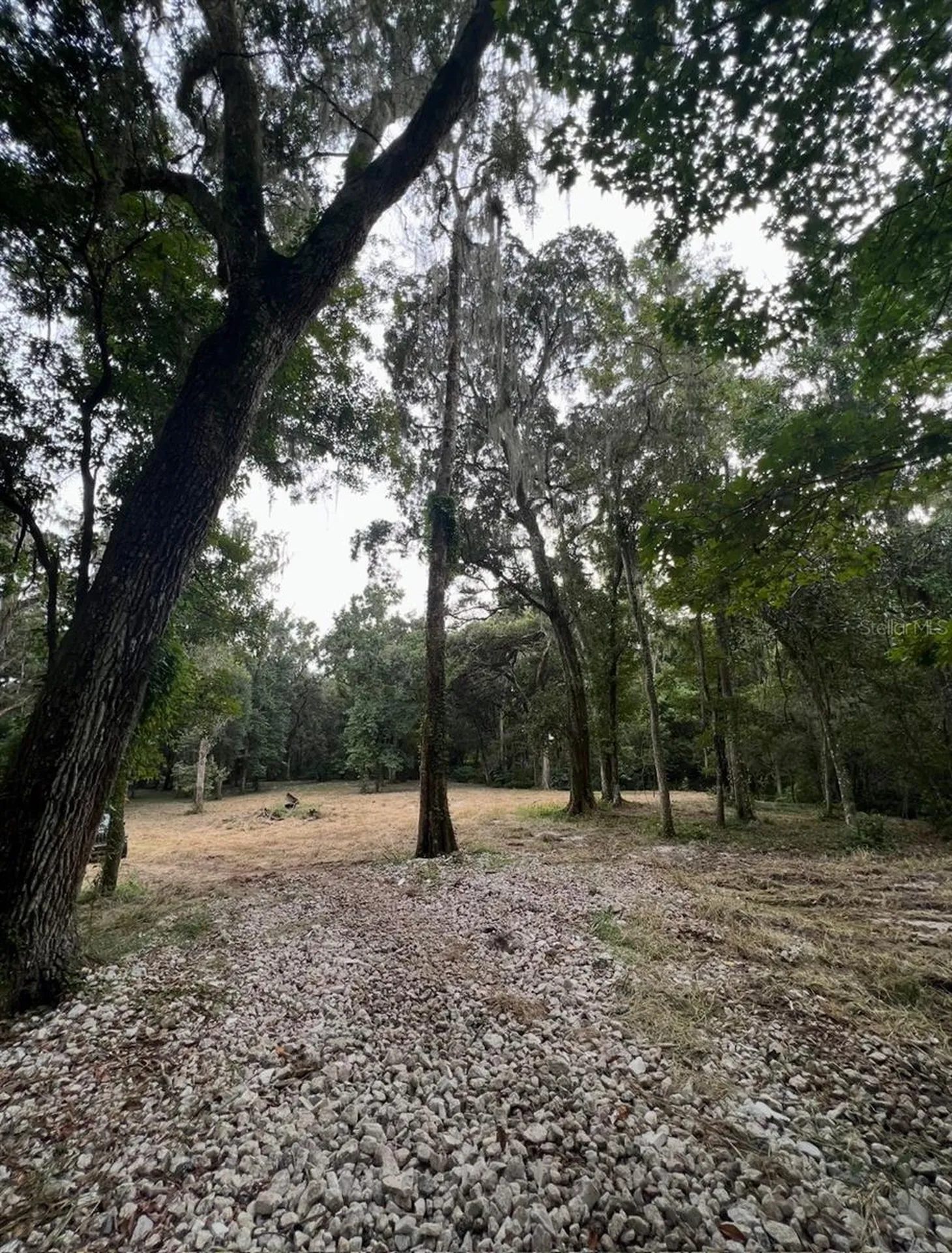 33234 Chipco Ranch Road Dade City FL 33523