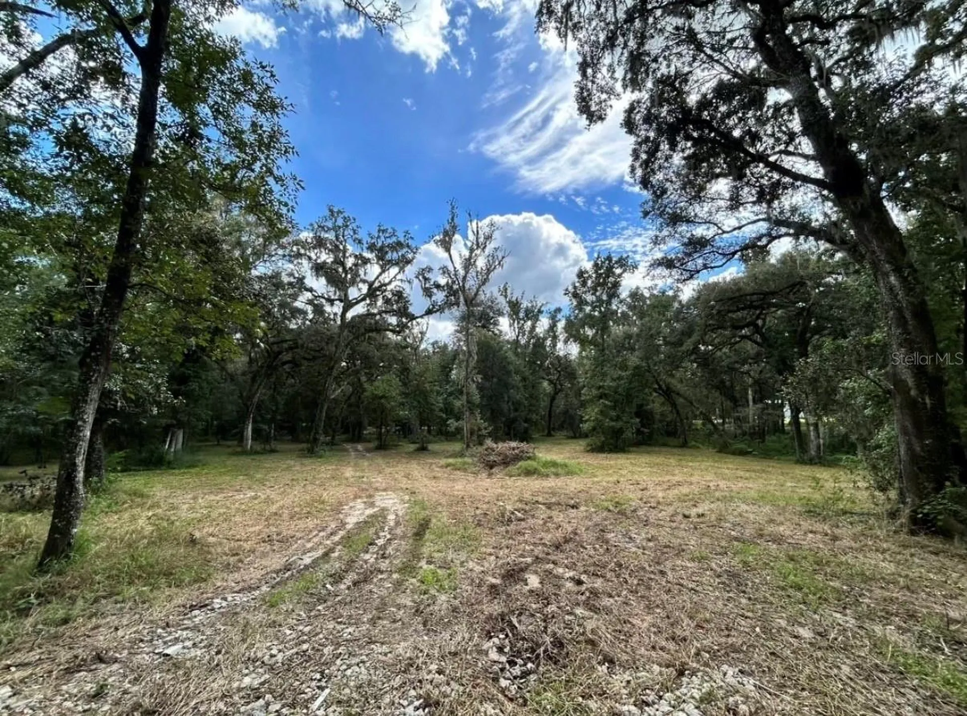 33234 Chipco Ranch Road Dade City FL 33523