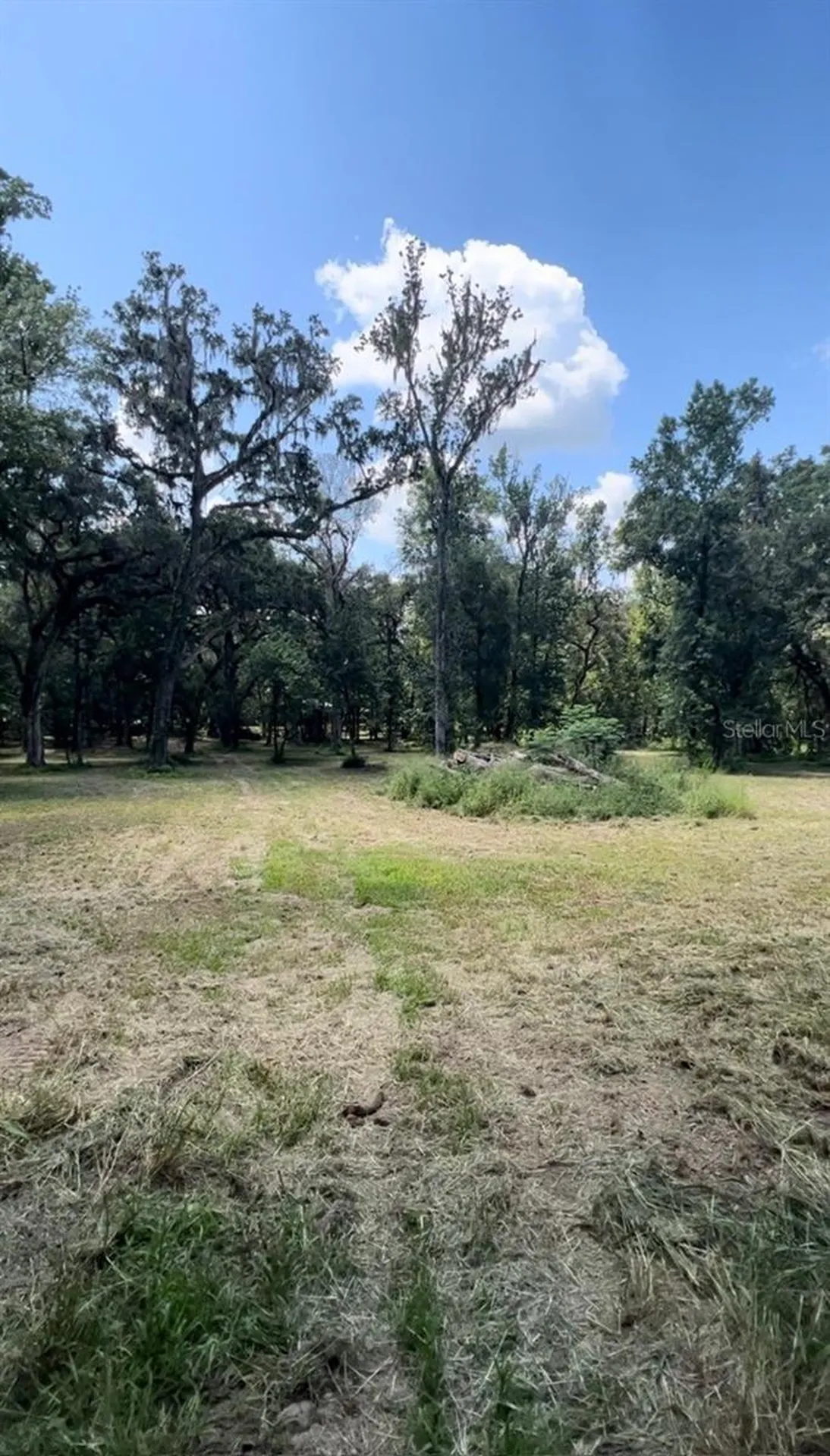 33234 Chipco Ranch Road Dade City FL 33523