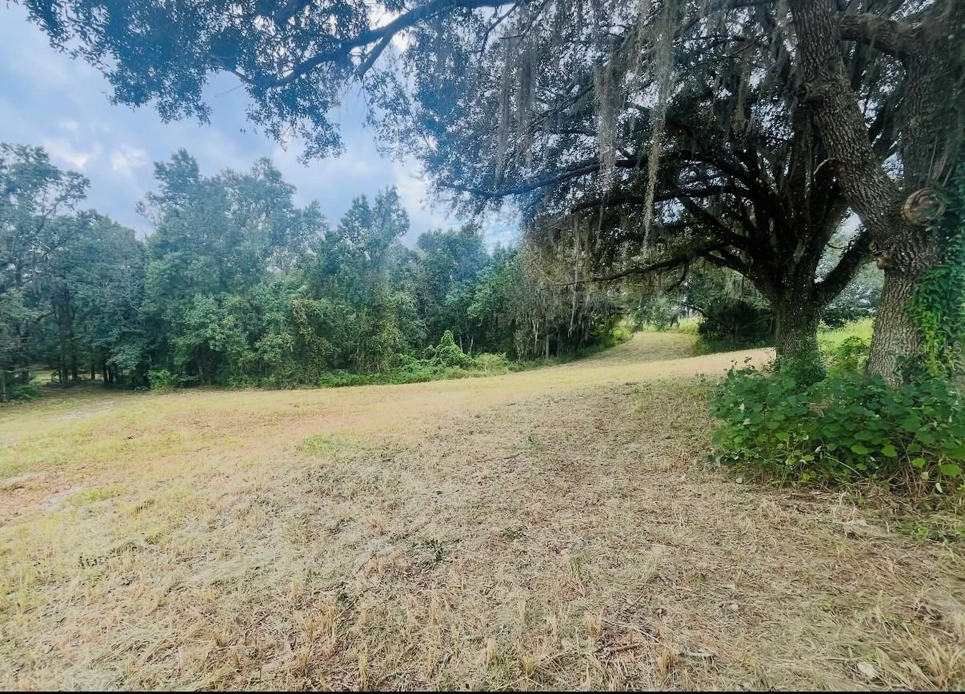 33234 Chipco Ranch Road Dade City FL 33523