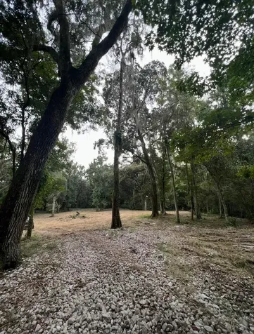 33234 Chipco Ranch Road Dade City FL 33523