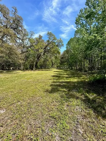 33234 Chipco Ranch Road Dade City FL 33523