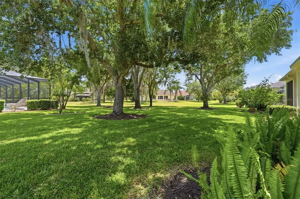 1444 Canberley Court Trinity FL 34655