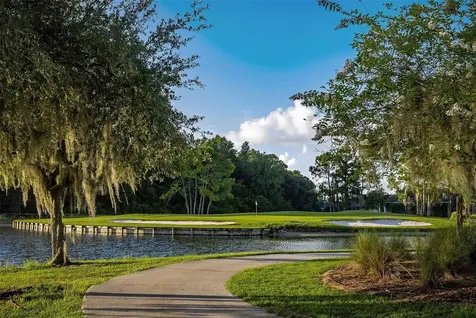 1444 Canberley Court Trinity FL 34655