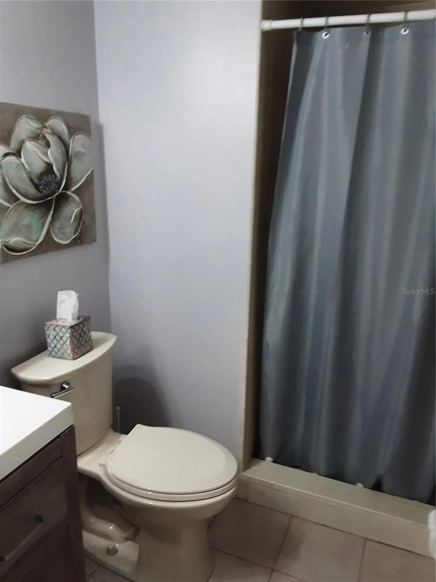 4423 Pelorus Drive New Port Richey FL 34652