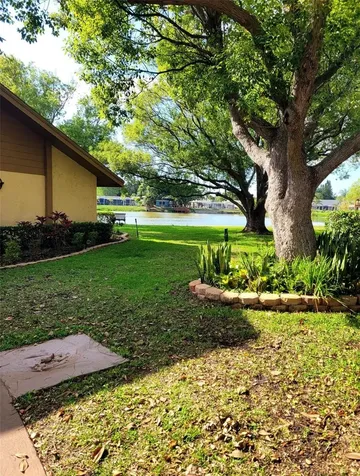 4423 Pelorus Drive New Port Richey FL 34652
