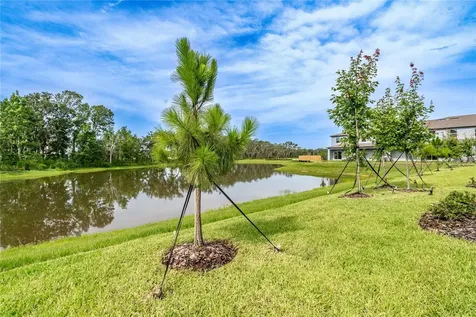 5095 Capri Harbor Drive Wimauma FL 33598