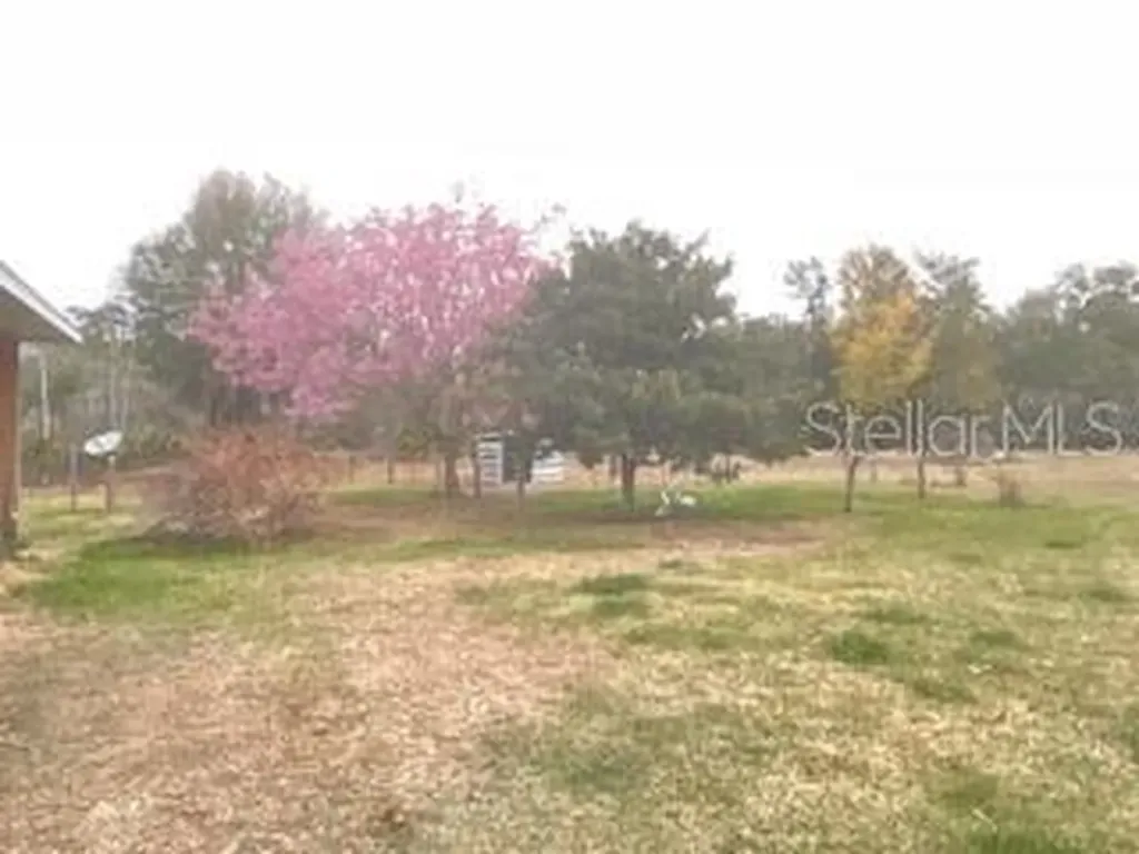 32420 County Road 473 Leesburg FL 34788