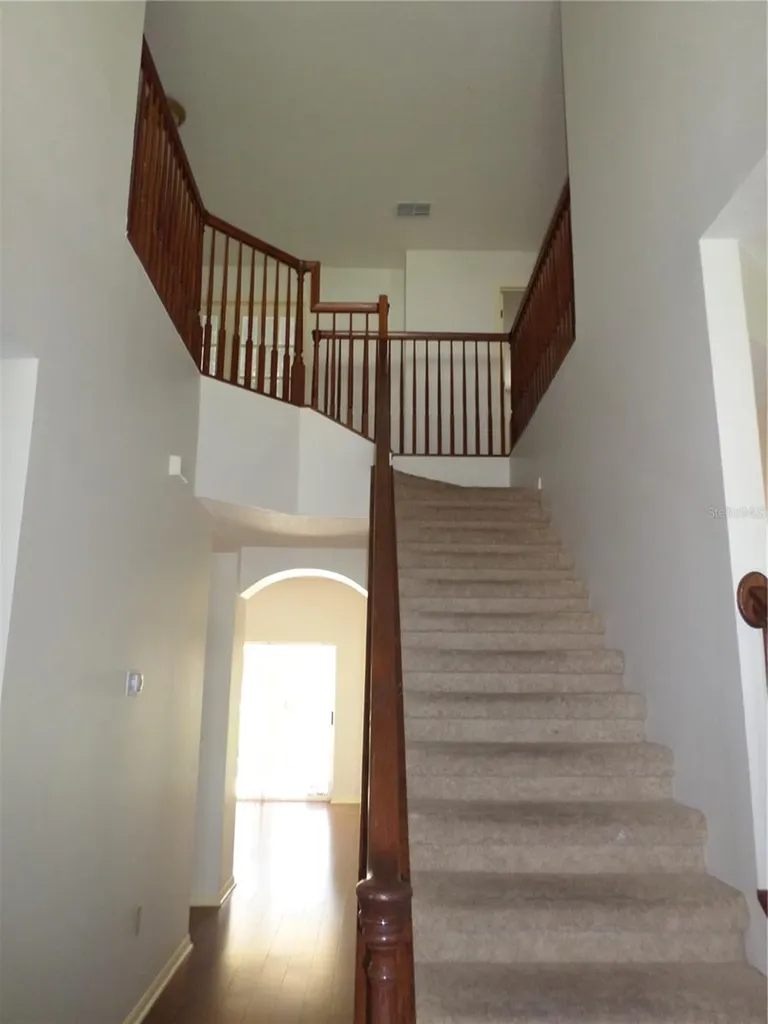 19407 Sandy Springs Circle Lutz FL 33558